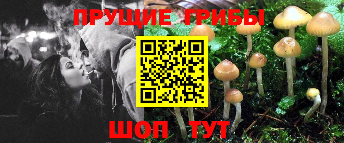 Галлюциногенные грибы прущие грибы  Вход с VPN  Москва 