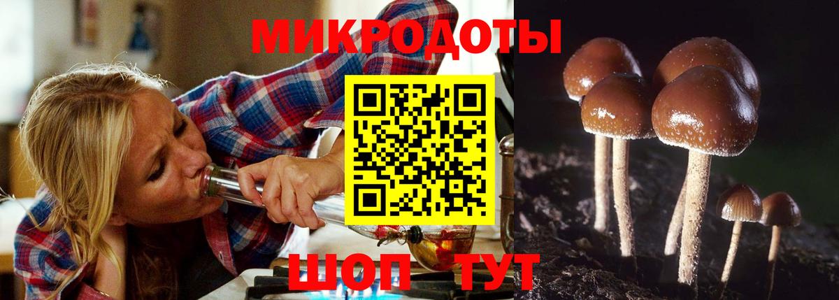 Галлюциногенные грибы мицелий Москва